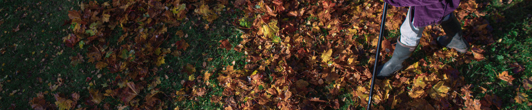 Mest älskade – nu till kampanjpris!