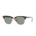 Clubmaster Classic, Tortoise, Ray-Ban (0RB3016   W366   51)