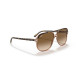 Bill Havana On Transparent Brown
