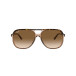 Bill Havana On Transparent Brown